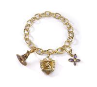 Harry Potter - Lumos Hufflepuff - Charm Bracelet ( NN7714 ) NEW