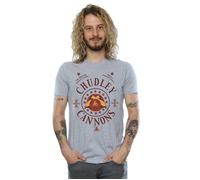 Harry Potter Men's Chudley Cannons Logo T-Shirt in Grey | Size: 2XL Harry Potter Grey 2XL