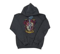 Harry Potter Men's Gryffindor Distressed Crest Hoodie Large Dark Heather