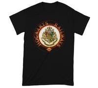 Harry Potter Men's Hogwarts Railway Circle T-Shirt in Black | Size: 2XL Harry Potter Black 2XL