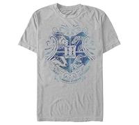 Harry Potter Men's Hogwarts T-Shirt, Silver, XL