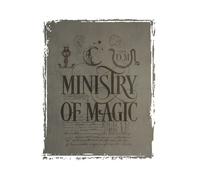 Harry Potter Ministry Of Magic Men's T-Shirt - White - S