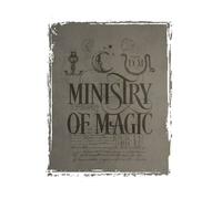 Harry Potter Ministry Of Magic Women's T-Shirt - White - M