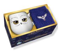 HARRY POTTER - MON COFFRET COCOONING: Avec 1 mug et 1 paire de chaussettes