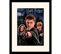 Harry Potter Mounted and Framed Print, Harry Ron Hermione, 30 x 40 cm
