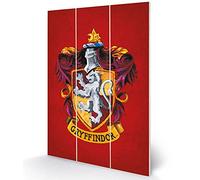 Harry Potter MW12843P Wooden Wall Art, Multicoloured, 20 x 29.5cm