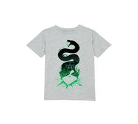 Harry Potter Official Basilisk Silhouette Kids' T-Shirt - 11-12 Years in Grey | Size: YXL Harry Potter Grey YXL