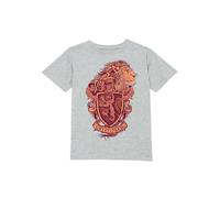 Harry Potter Official Gryffindor Drawn Crest Kids' T-Shirt - 5-6 Years in Grey | Size: YS Harry Potter Grey YS