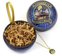 Hogwarts School Of Witchcraft Wizardry Christmas Gift Bauble & Necklace