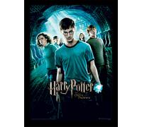 Harry Potter - Order of the Phoenix - Official 30 x 40cm Framed Print Wall Art