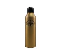 Harry Potter Order of the Phoenix Steel Water Bottle 700ml
