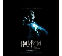 Harry Potter Order Of The Phoenix Unisex T-Shirt - Black - XXL