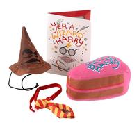 Harry Potter Pets Birthday Set for Cats and Dogs