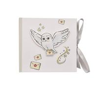Harry Potter Hedwig Owl & Hogwarts Letter Slip In Photo Album 6x4