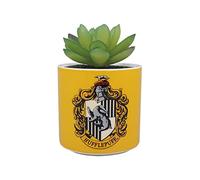 Harry Potter Plant Pot, Stoneware, Yellow, 150ml