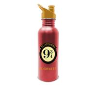 Harry Potter Platform 9 3/4 Metal Water Bottle - 500ml, Vacuum Insulated, Double Wall, Hogwarts Crest, Push-Pull Spout, Screw Top Lid, Carry Handle