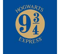 Harry Potter Platform Men's T-Shirt - Blue - XXL