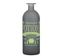 Harry Potter Potion Vase Glass (20Cm) - (Potions Classes) Multi One Size
