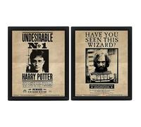 Harry Potter (Potter/Sirius) 3D Lenticular Framed Print Black