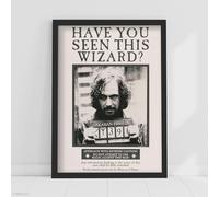Harry Potter Print - Have You Seen This Wizard Sirius Black Poster Wall Art (21cm x 29.7cm - A4)