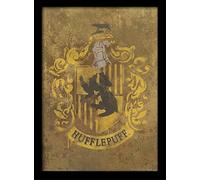 Harry Potter (hufflepuff Crest) , Multi