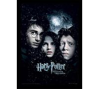 Harry Potter Pyramid International (Prisoner Of Azkaban) A3 30cm x 40cm Framed, Collectors Print, Ideal Choice for Fans and Collectors, One Size