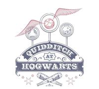 Harry Potter Quidditch At Hogwarts Hoodie - White - XXL