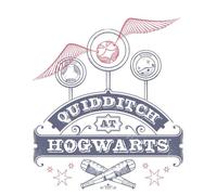 Harry Potter Quidditch At Hogwarts Women's T-Shirt - White - M