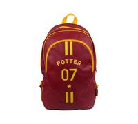 Harry Potter Quidditch Backpack