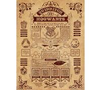 Harry Potter Quidditch Canvas Print