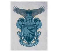 Harry Potter Ravenclaw Canvas Print In Blue Blue