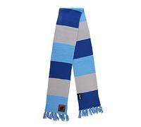Harry Potter Ravenclaw Scarf with Patch Officially Licensed Cozy Knit Fringed Tassels Blue and Gray