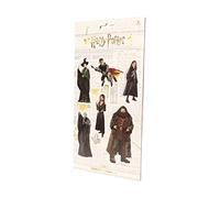 HARRY POTTER - Real Characters Magnet Set B Official Merchandise (DIRAC 1)