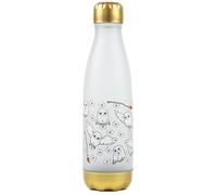 Harry Potter Screw Water Bottle | Unisex Silver | Official Merch Harry Potter Silver