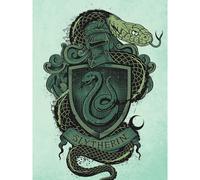 Harry Potter Slytherin Canvas Print