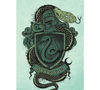 Harry Potter Slytherin Canvas Print In Green Green