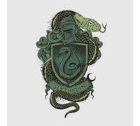 Harry Potter Slytherin Drawn Crest Women's T-Shirt - Grey - XXL