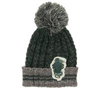Harry Potter Slytherin Heathered Pom Beanie