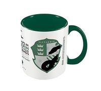 Harry Potter Slytherin House Pride Mug (One Size) (Green/White)