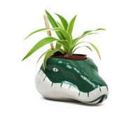 Harry Potter Slytherin Shaped Plant Pot In Green Green
