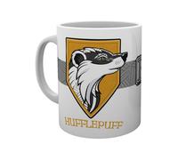 Harry Potter Stand Together Hufflepuff Boxed Mug