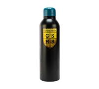 Harry Potter Steel 700Ml Water Bottle Black/gold (One Size)