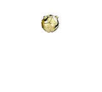Harry Potter Sterling Silver Golden Snitch Spacer Bead by The Carat Shop