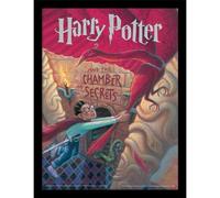 Harry Potter The Chamber Of Secrets Framed Poster Harry Potter Multicolor
