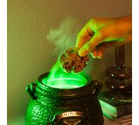 Harry Potter The Leaky Cauldron Cookie Jar