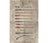 Harry Potter The Wand Chooses The Wizard Maxi Poster Multi