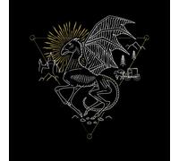 Harry Potter Thestral Men's T-Shirt - Black - S