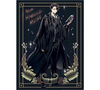 Harry Potter Tom Marvolo Riddle Print