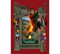 Harry Potter und das Trimagische Turnier. Puzzle 1000 Teile