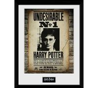 Harry Potter Undesirable No 1 - 30x40 Collector Prints